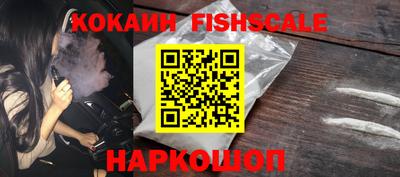 индика Новодвинск
