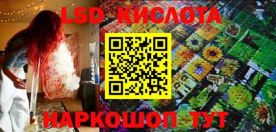 индика Новодвинск