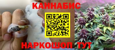 индика Новодвинск