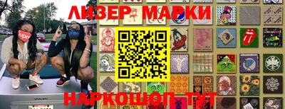 индика Новодвинск