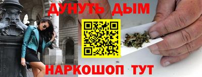 индика Новодвинск