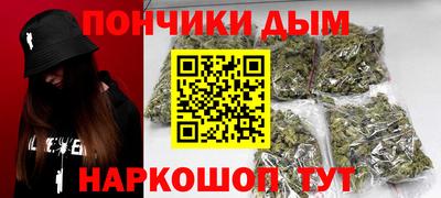 шишки Новокубанск