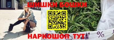 индика Новодвинск