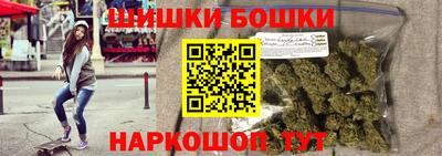 индика Новодвинск