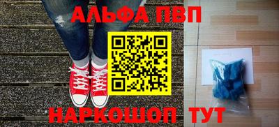 индика Новодвинск