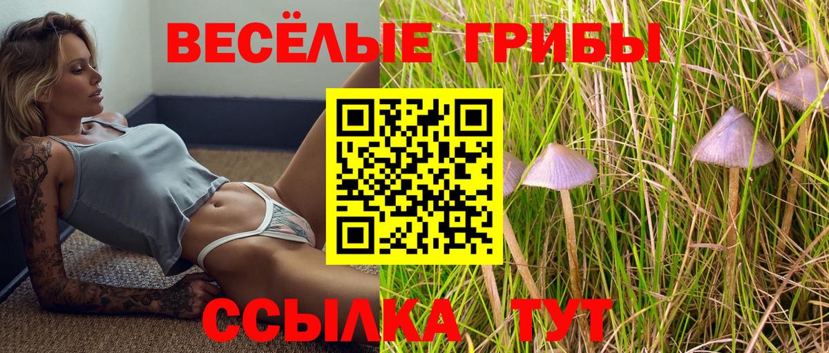 Галлюциногенные грибы прущие грибы  Вход с VPN  Тамбов 