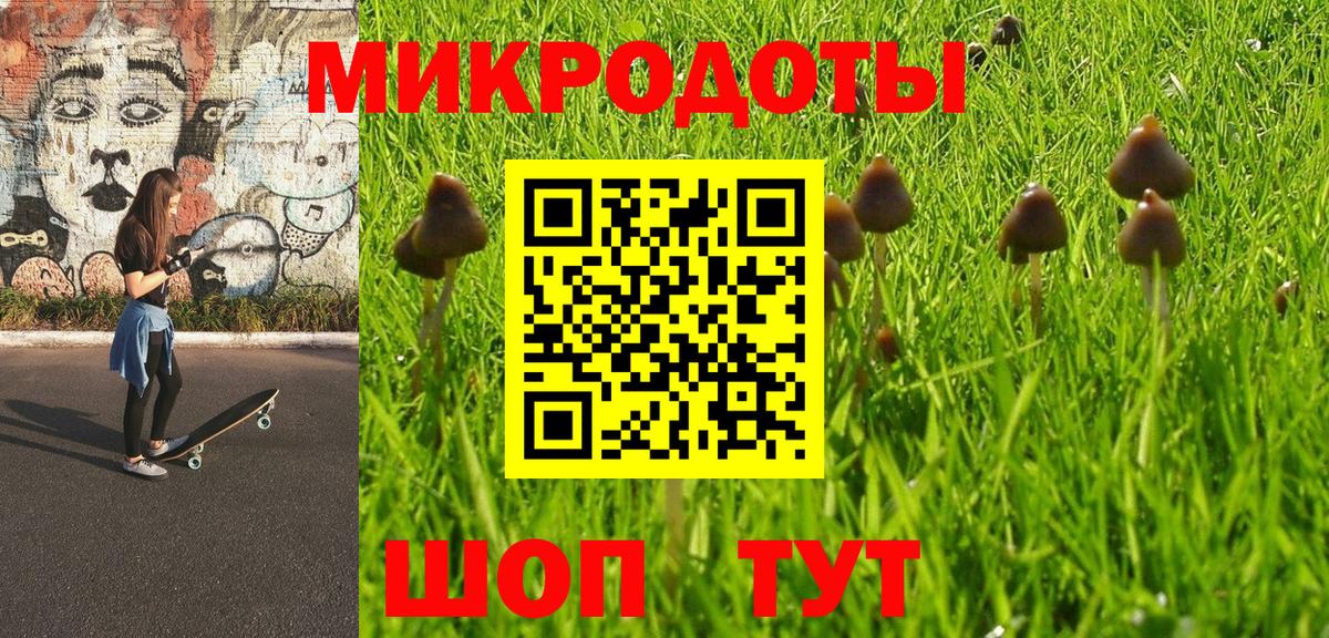 Галлюциногенные грибы Psilocybe Тамбов